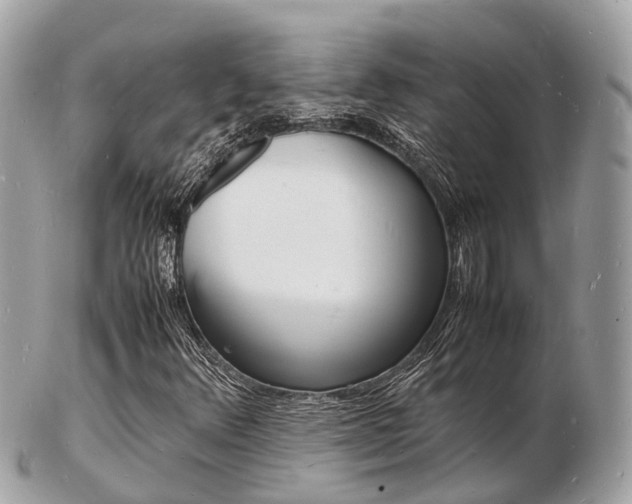X0000103291348200808291059