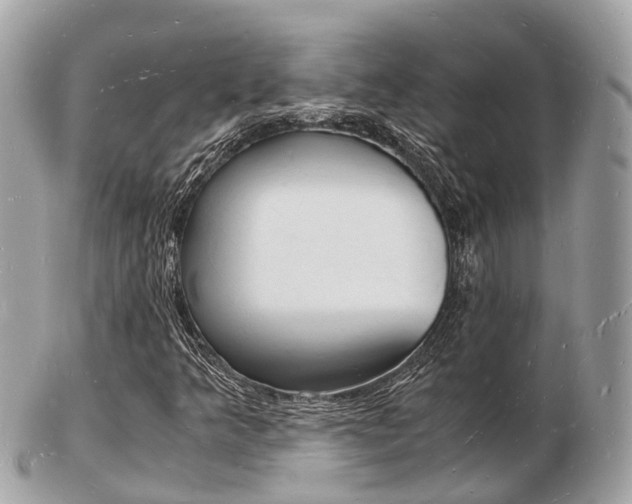 X0000103291349200808291059