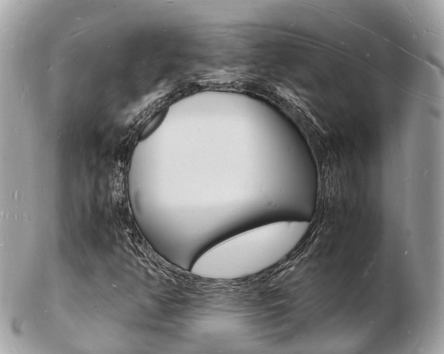 X0000103291350200808291059