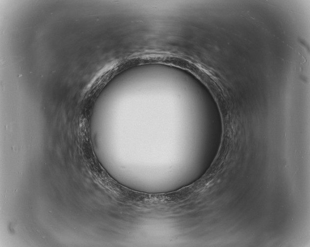 X0000103291351200808291059