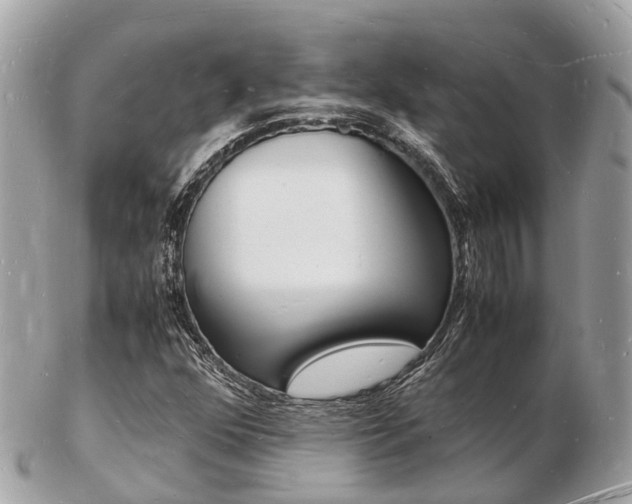 X0000103291352200808291059