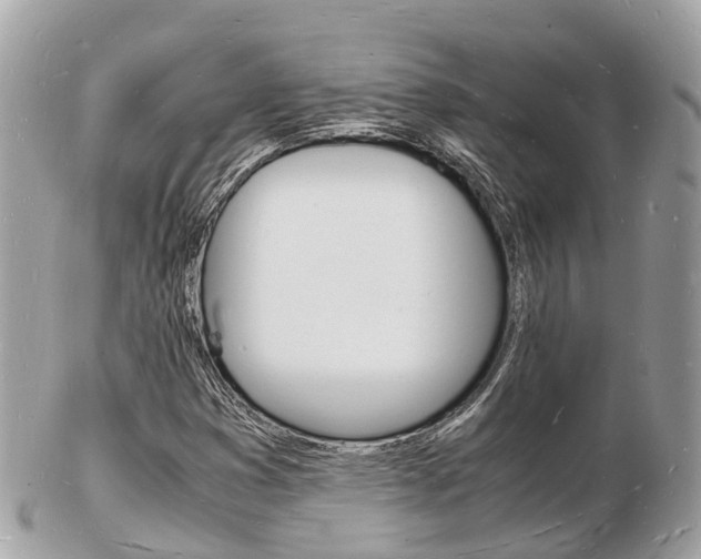 X0000103291353200808291059