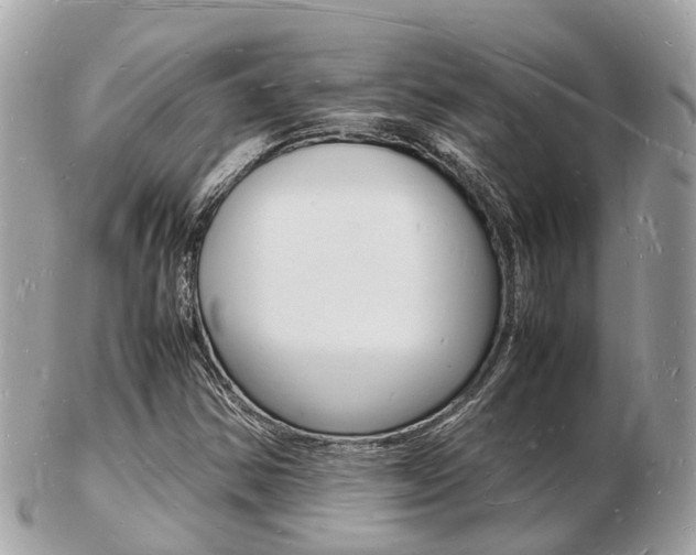 X0000103291354200808291059