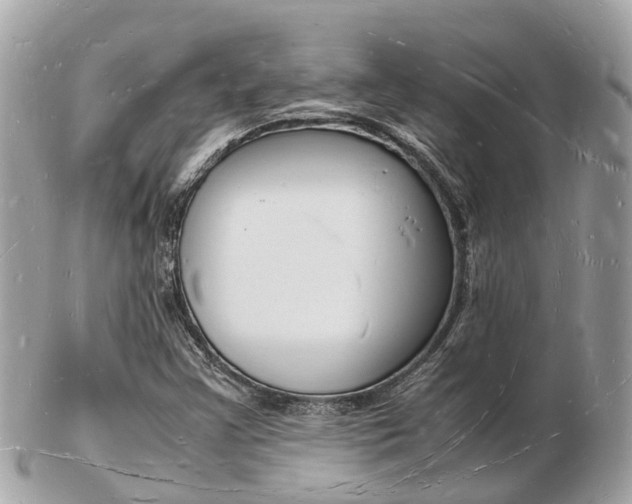 X0000103291355200808291059