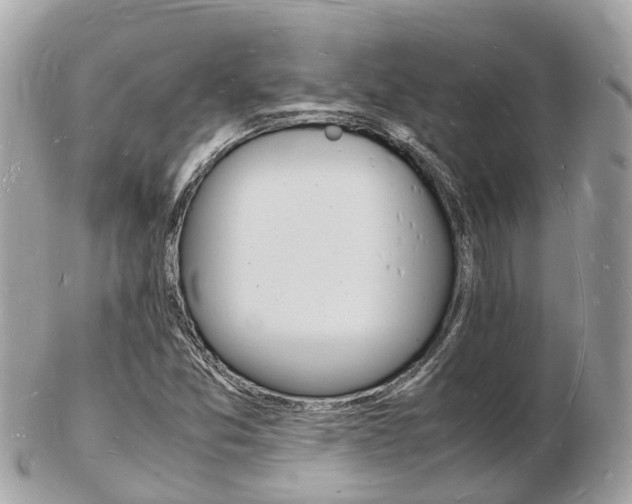 X0000103291357200808291059