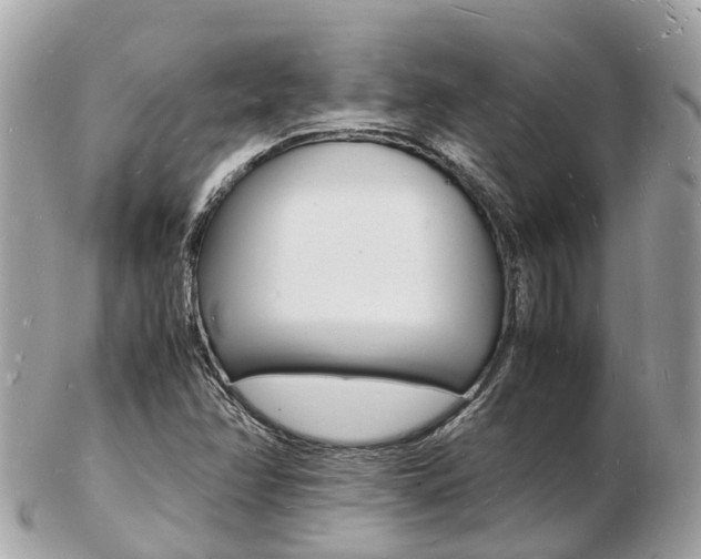 X0000103291358200808291059