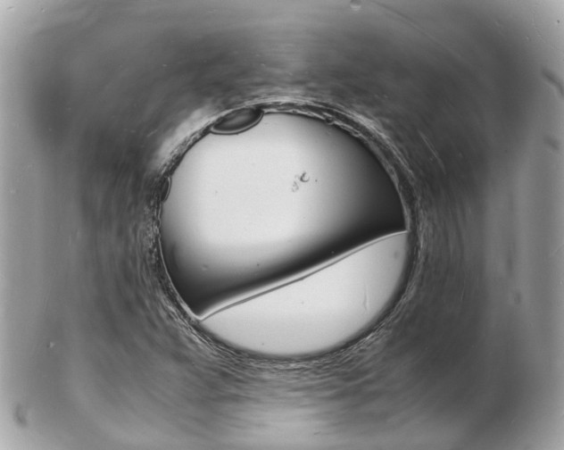 X0000103291359200808291059