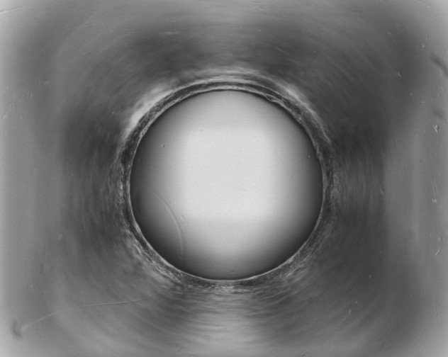 X0000103291360200808291059
