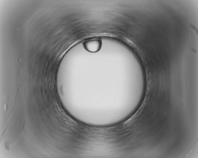 X0000103291361200808291059