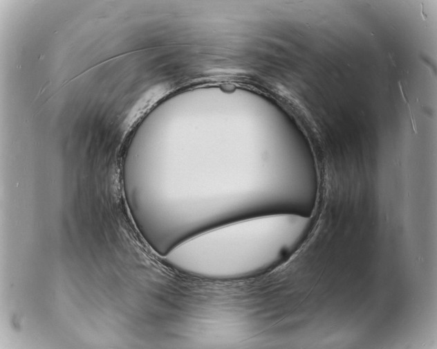 X0000103291362200808291059