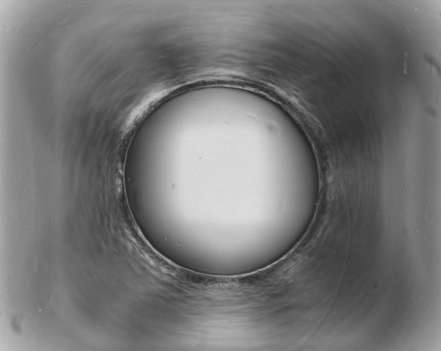 X0000103291363200808291059