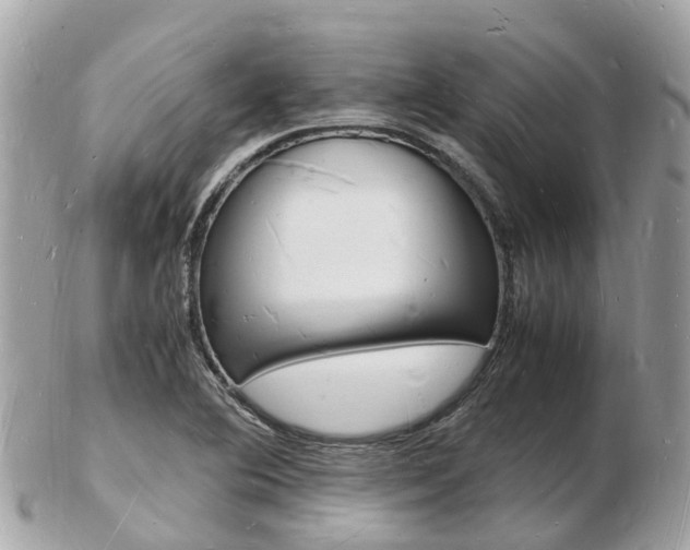 X0000103291364200808291059