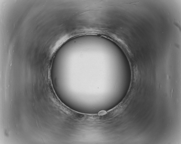 X0000103291365200808291059