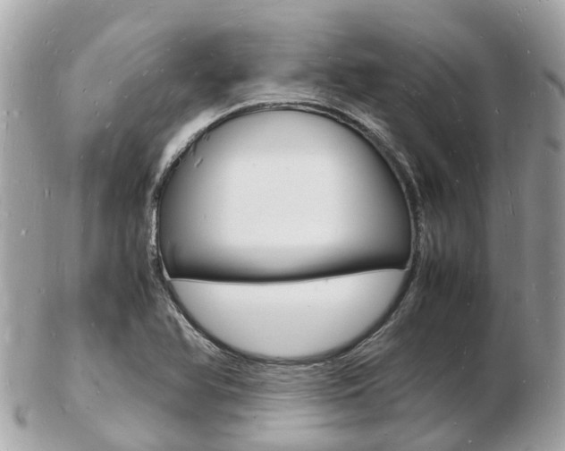 X0000103291366200808291059