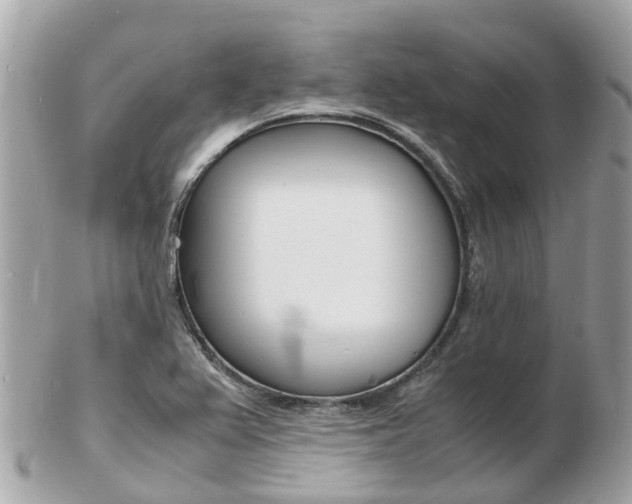 X0000103291367200808291059