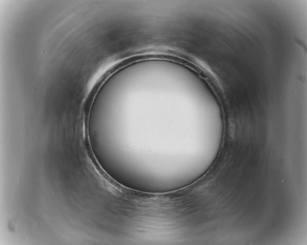 X0000103291368200808291059