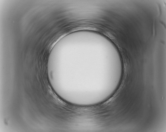 X0000103291369200808291059