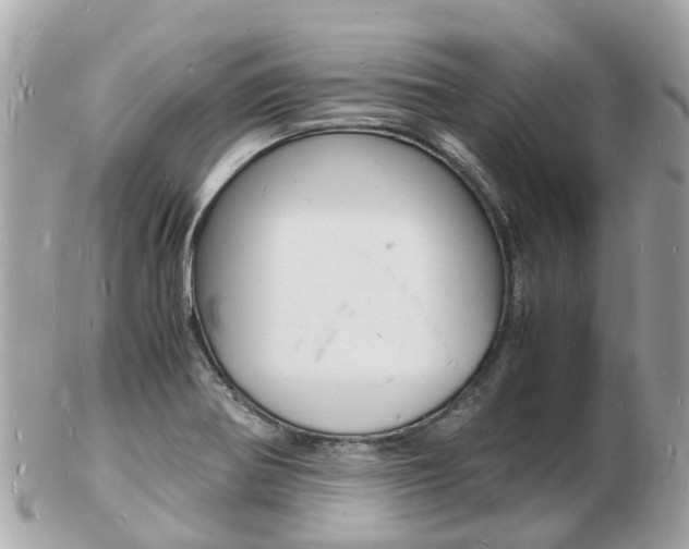 X0000103291370200808291058