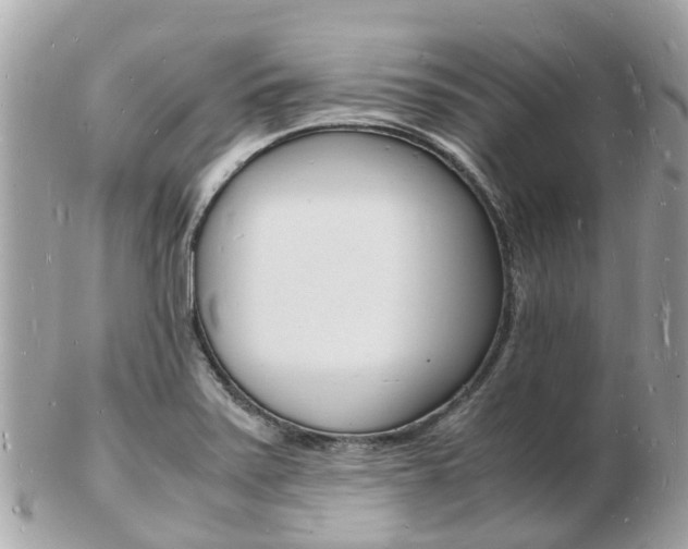 X0000103291371200808291058