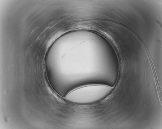 X0000103291373200808291058