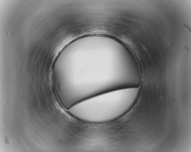 X0000103291374200808291058