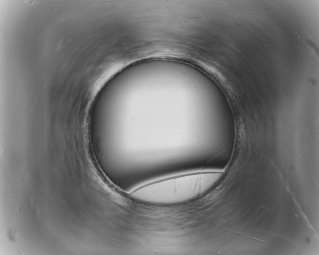 X0000103291375200808291058