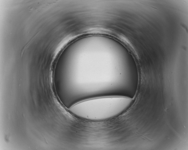 X0000103291376200808291058