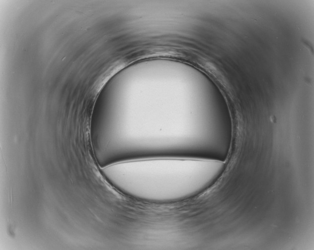 X0000103291377200808291058