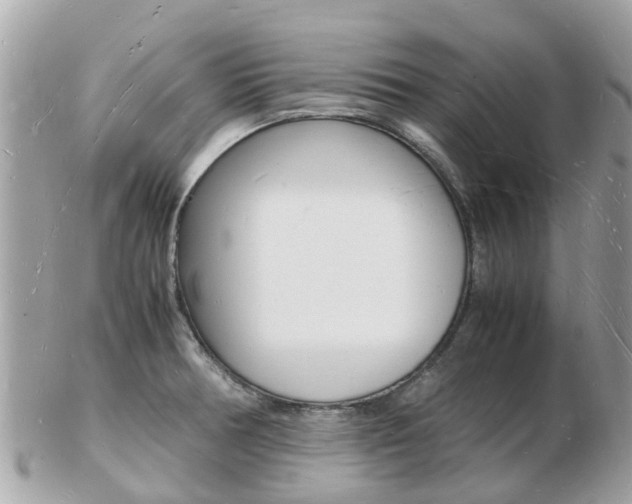 X0000103291378200808291058
