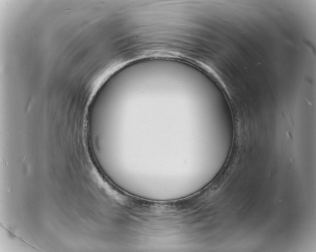 X0000103291379200808291058