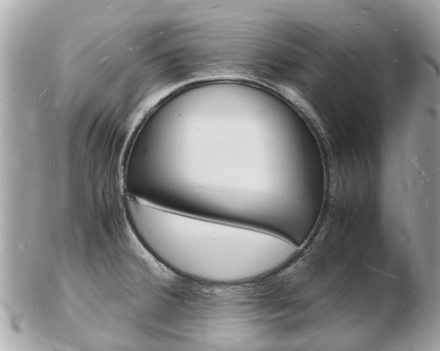 X0000103291380200808291058