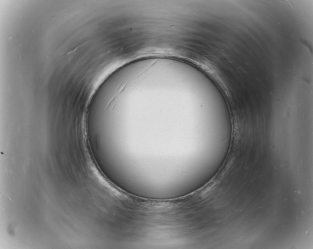 X0000103291382200808291058