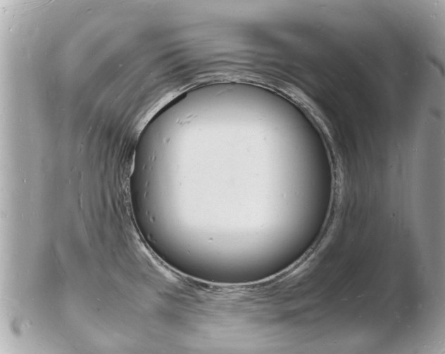 X0000103291385200808291058