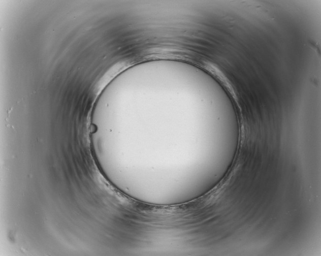 X0000103291386200808291058