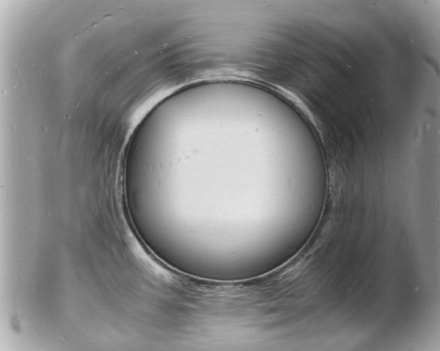 X0000103291387200808291058