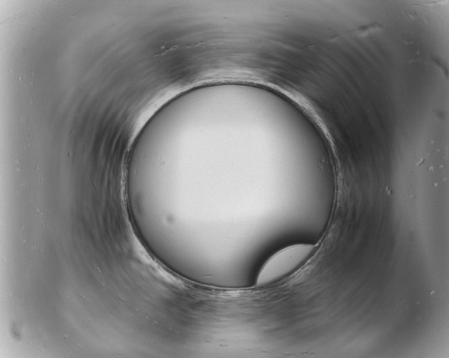 X0000103291390200808291058