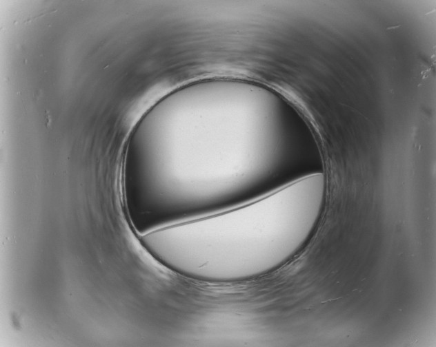 X0000103291391200808291058