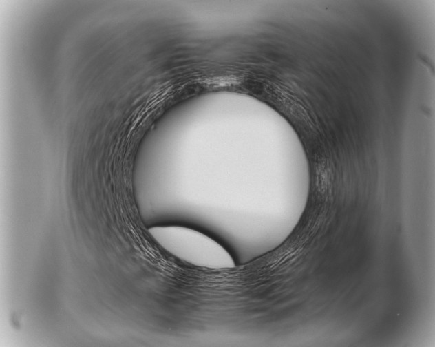 X0000103291393200808291058