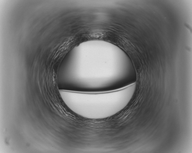 X0000103291394200808291058