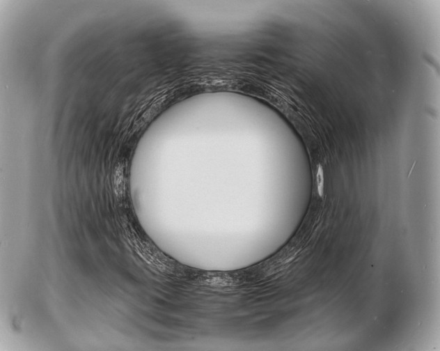 X0000103291395200808291058