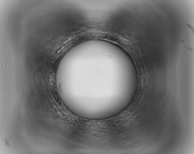 X0000103291397200808291058