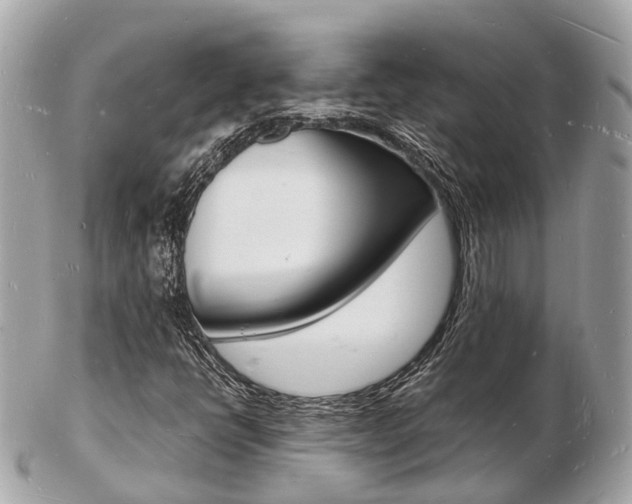 X0000103291398200808291058