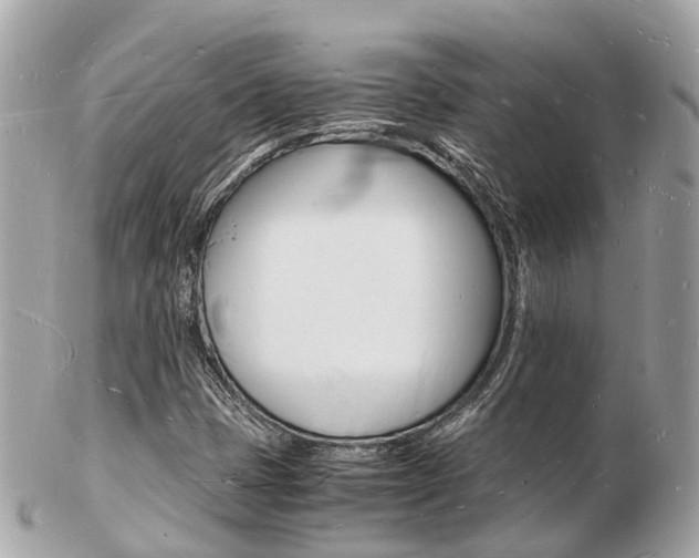 X0000103291401200808291058