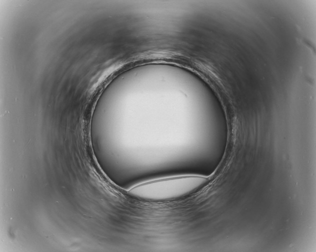 X0000103291404200808291058