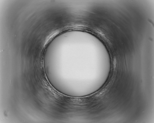 X0000103291405200808291058