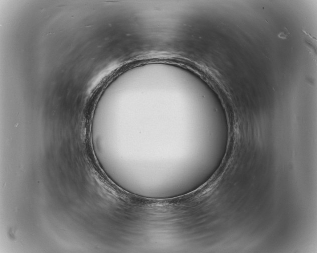 X0000103291406200808291058