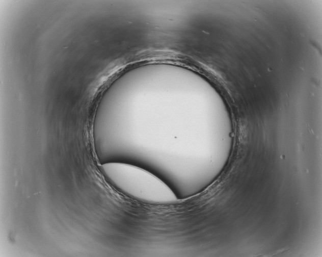 X0000103291407200808291058