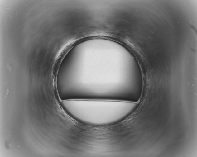 X0000103291408200808291058