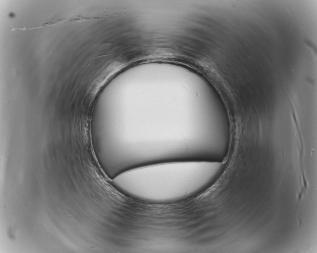 X0000103291409200808291058