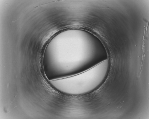 X0000103291410200808291058